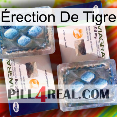 Érection De Tigre viagra5
